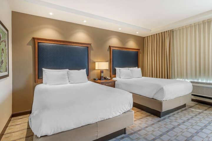 Room 10 of 55